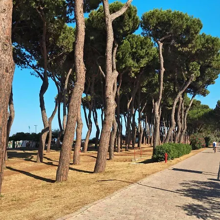 Michela-1 By Interhome * Pineto